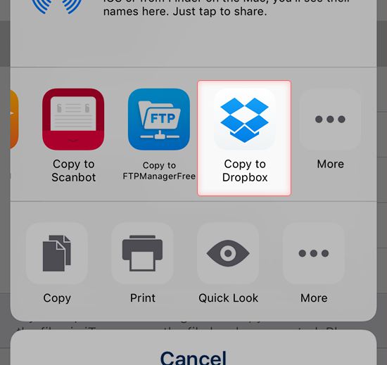 Screenshot how to select Dropbox as target app in Logbook App on iPhone